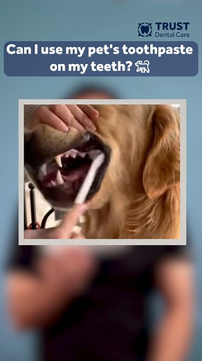 Can I use my pet's toothpaste? 🤔🐶🤣 #pets #toothpaste #weirdest #mexicodentistry #tijuanadentist #reels | Trust Dental Care - Dentist in Tijuana