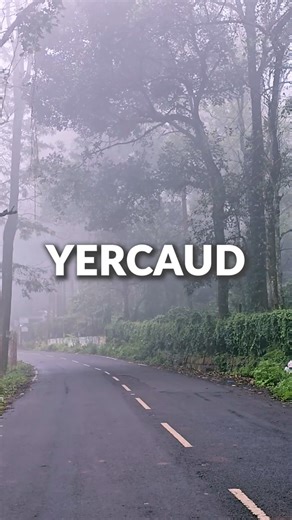 YERCAUD, The Land of 7 Forests
