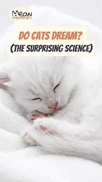 Do Cats Dream? (The Surprising Science) #catsleeping #catfacts #catscience #catbehavior