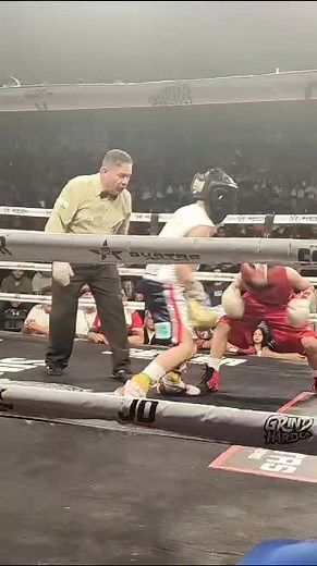 Julio Cesar Chavez's Mini JC Watching a Fight