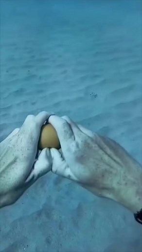 25K views · 76 reactions | would you ever do this?  #Prank #Prankster #PrankWars #SocialExperiment #Comedy #Funny #DIY #LifeHack #Traveling #Faith #god #Jesus #ScienceExperiment #Science #Food #Foodie #FoodLover | Stupid Experiments | Facebook