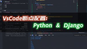 11.Vscode断点使用：前后端联调