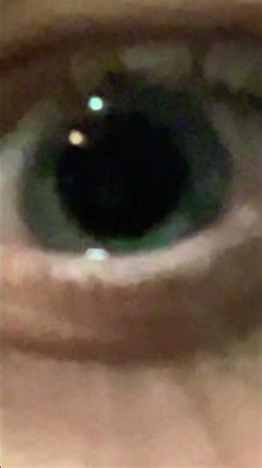 What color do you think they are at first?