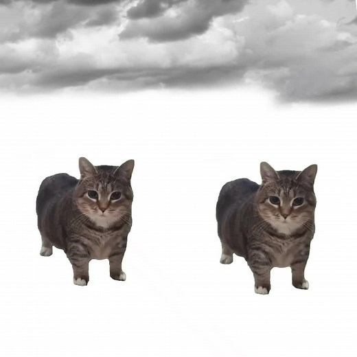 Discover the Catchy Tune 'U I A I U'