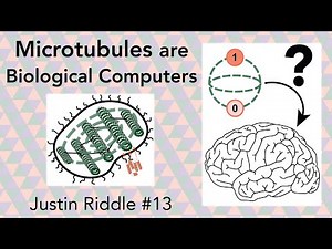 #13 - Microtubules are Biological Computers: searching for the mind of a cell