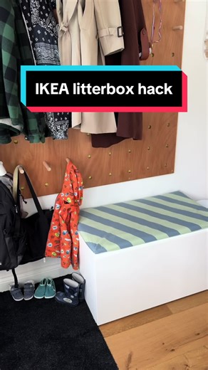 Creative IKEA Hack for Concealing Your Cat's Litterbox