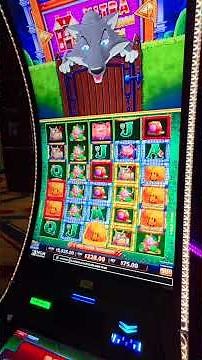 PALACES DELIVER MASSIVE RECORD JACKPOT! #vegas ‪@LadyLuckHQ‬