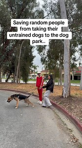 26K views · 962 reactions | Dog parks explained.. I just met her outside of the dog park and her dog was dragging her across the parking lot so I decided to offer her some help.. Turns out she’s just fostering the dog because she found him on the streets. Then I showed her some quick leash techniques which calmed her dog down and when she asked me about going in the dog park this was my answer. | The Dog Daddy | Facebook