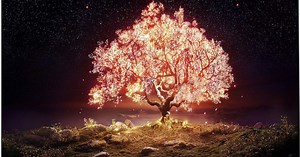 Test Téléviseur Oled 4K LG 55B1 : le 120 Hz d'entrée de gamme de LG presque parfait