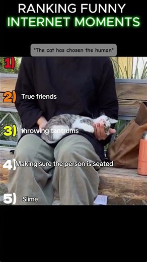 Trust me you don't want to miss these videos of cats...also there is one human being an idiot moment