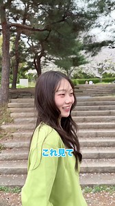 桜：日本の春を象徴する「コンテンツ」
