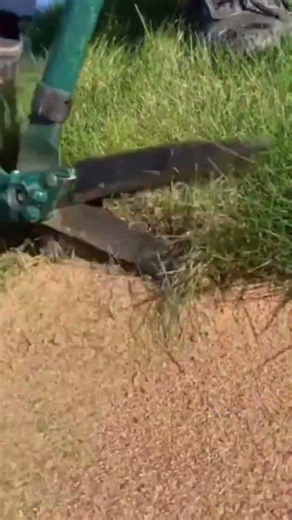 The process of cutting grass in the garden using large scissors is easy and neat #construction