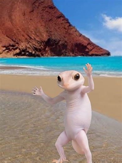 Ready for Summer: Hibernation to Sunshine!