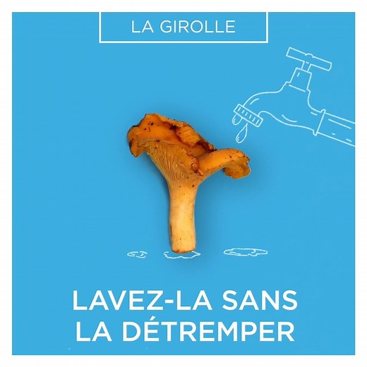 C'est la saison des girolles, découvrez tous nos conseils pour bien la conserver | Cuisine Actuelle