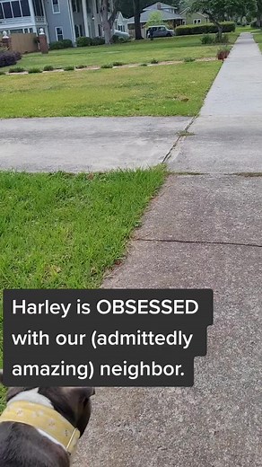 ChildfreeCarefree on TikTok