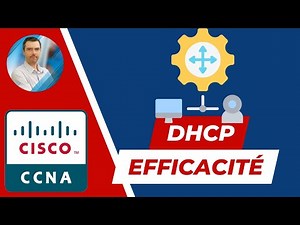 DHCP expliqué simplement : fini les prises de tête avec les adresses IP !