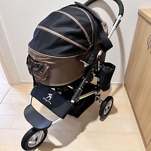 Holla - Official Random Video Chat 🤳 - Bozocam App