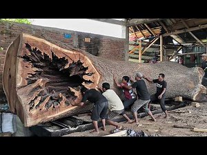 WORLD RECORD!! 300 Feet Giant Oak Log Finally Cut at the Sawmill – Unbelievable Moment