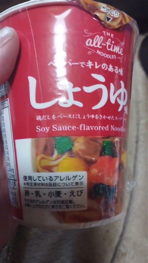 🥢ザ・オールタイムしょうゆ味