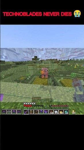4 Years Later😭: Technoblade Never Dies 🕊️