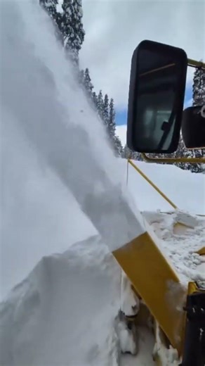 Pure Winter ASMR: Carving Through Deep Powder #OddlySatisfying #SnowASMR #WinterVibes #snowremoval
