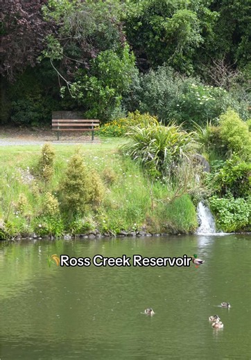Tag your picnic buddy x #otago #dunedin #summer
