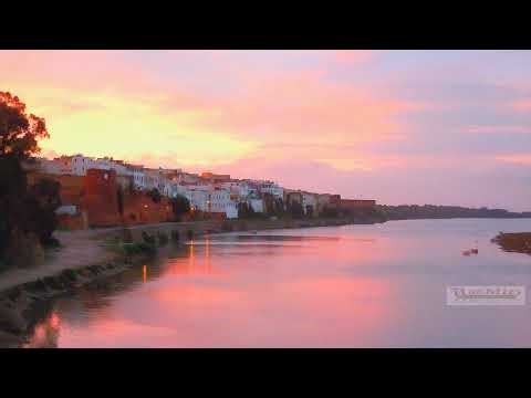 Live streaming of Simo Langous