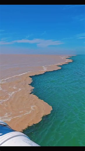 Pecific ocean and Atlantic ocean don't mix #pecificocean #atlantikocean #fypviralシ