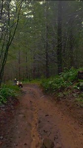 More protection means more possibilities. Get the most out of your new KingQuad ATV with this limited-time double coverage. | Suzuki