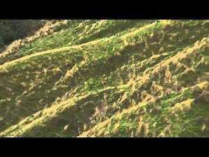 SWAROVSKI OPTIK ATX / STX Modular Spotting Scope