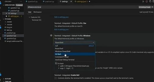 "Terminal process error vscode