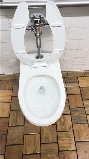 Partially Clogged Late 1990s American Standard Afwall toilet
