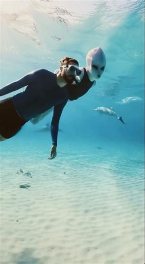 Alien Swimming Near Dolphin With Man #hfy #hfywar #hfystories #scifi #alien #scififantasy #trending