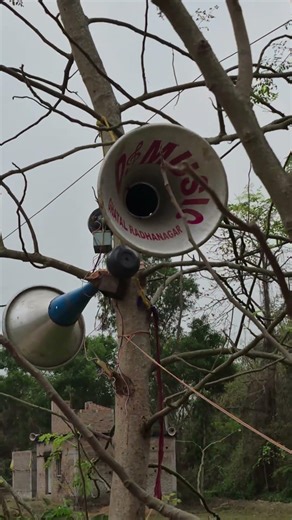 dj sound Competition big horn on tree