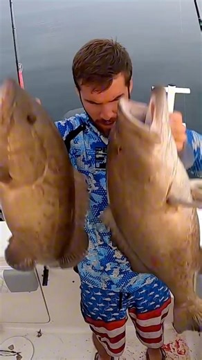 4K views · 25 reactions | If you have ever wondered what it’s like shallow water grouper fishing offshore of Tampa Bay this is a sneak peak! #gaggrouper #grouperfishing #florida #deepseafishing | Groupermvp | Facebook
