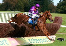 Racehorse retraining clinic at World Horse Welfare - Horse & Hound