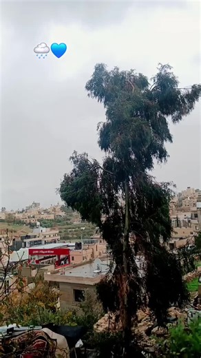 הסרטונים של Sama Mahmoud (@sama.mahmoud652) עם الصوت الأصلي - 𓆩HAITHAM AL_MASRI🇯🇴⁹⁰𓆪