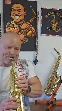 Endless Love – Lionel Richie & Diana Ross | Soprano Sax Tribute 🎷✨