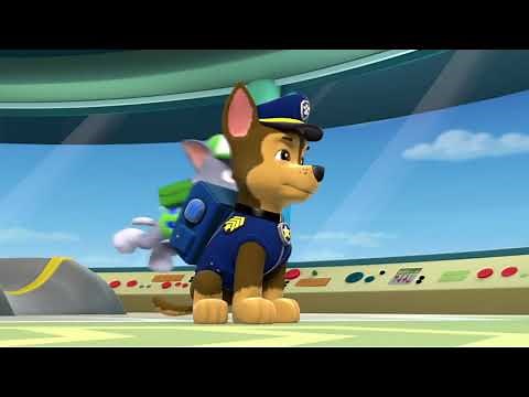 PAW Patrol S01E03 Pups Save the Sea Turtles Pup and the Very Big Baby 8