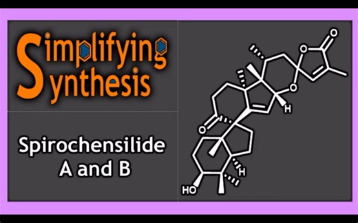 汉诺威大学Philipp Heretsch: Spirochensilide A, Spirochensilide B, and Abifarine B的全合成