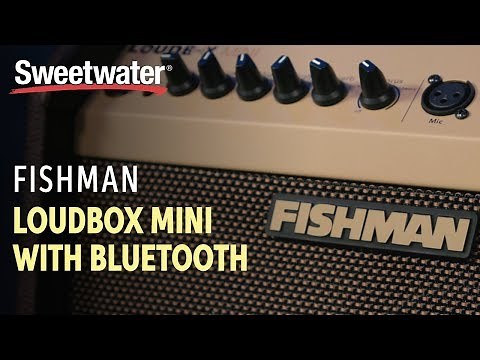 Fishman Loudbox Mini with Bluetooth Overview