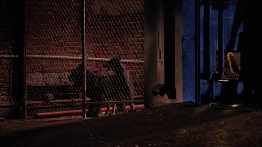 After Midnight (1989).