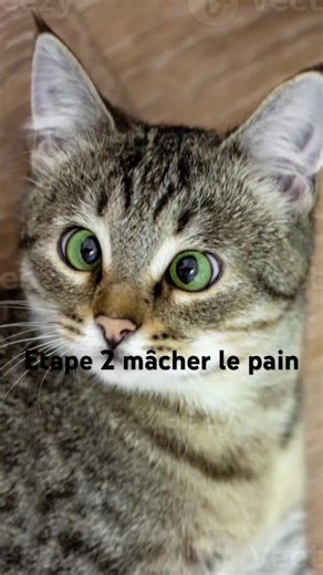 #viral comment manger le pain