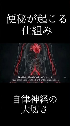 ストレスが便秘の原因に？「第二の脳」と呼ばれる腸の秘密とメカニズム