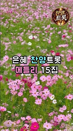 [트롯찬양] 매일 힐링되는 기적같은 은혜 찬양 트롯 15집 #찬양트롯 #트롯찬양 #찬양메들리