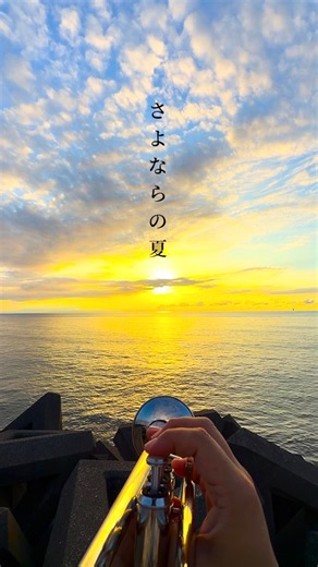 夕焼けの海に響く『さよならの夏』🎺 ジブリ名曲をトランペットで演奏