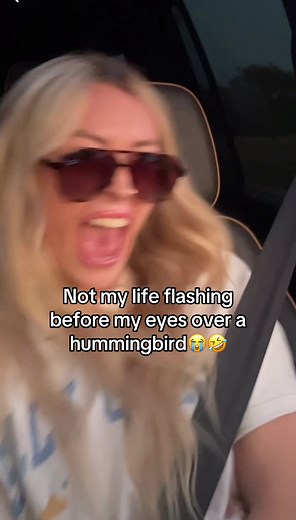 Hilarious Hummingbird Blooper Compilation