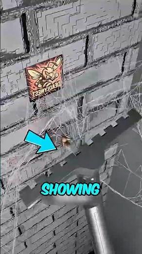 Never Vacuum Spider Webs In Your House… Here’s Why 😨