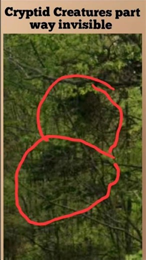 Cryptid part way Invisible Creatures #cryptid #invisible #Creatures