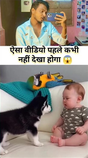 youtube shorts । instagram reels । whatsapp status ❤️